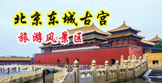 美女操逼裸体美女屄屄奶子中国北京-东城古宫旅游风景区